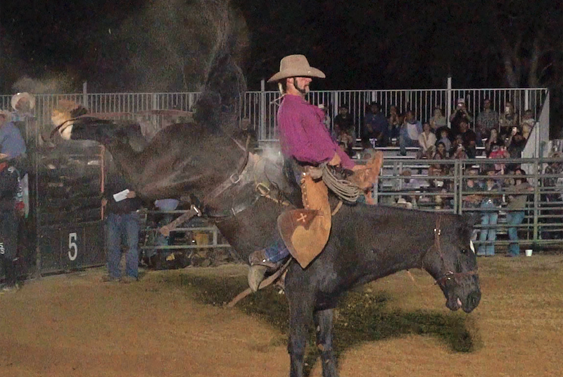Tampa Bay Rodeo & Family Festival