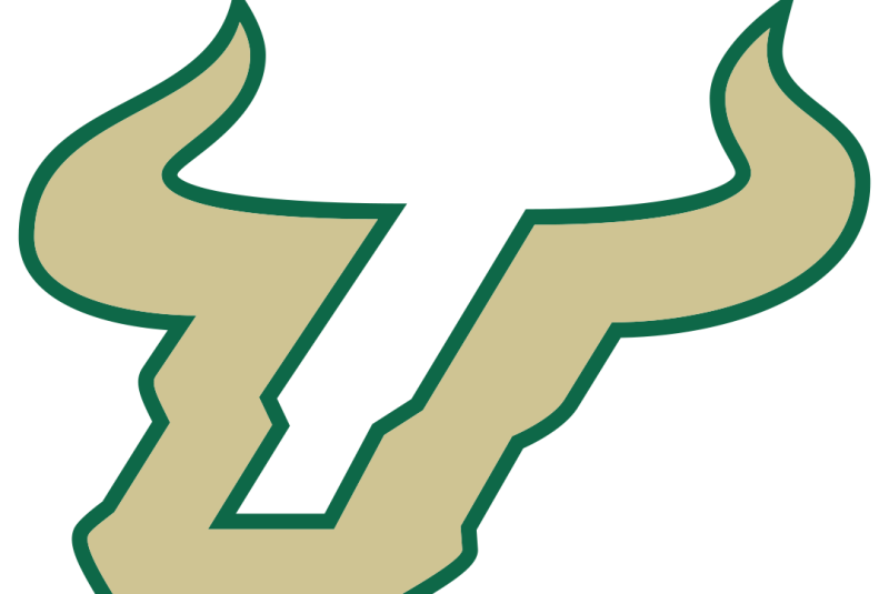 USF Women's Basketball vs South Carolina