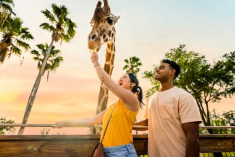 Sunset on the Serengeti