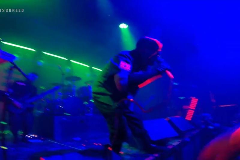Crossbreed - Tampa