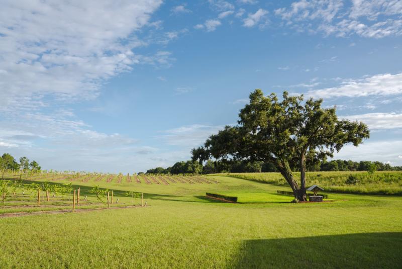 Osprey View Open House & Bridal Expo
