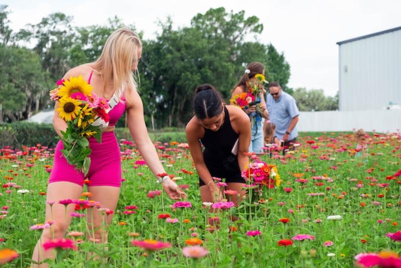 Daily Flower U-Pick