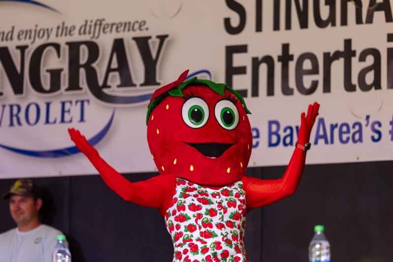 Florida Strawberry Festival