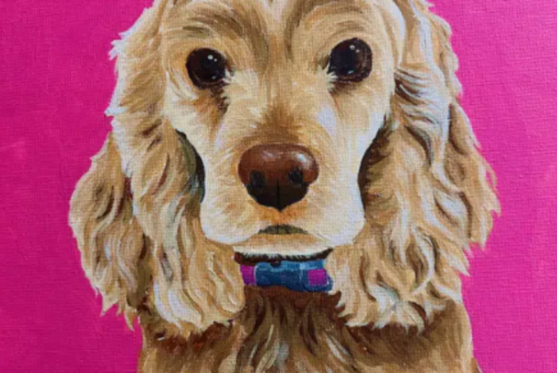 Tampa Paint Your Pet – Fundraiser