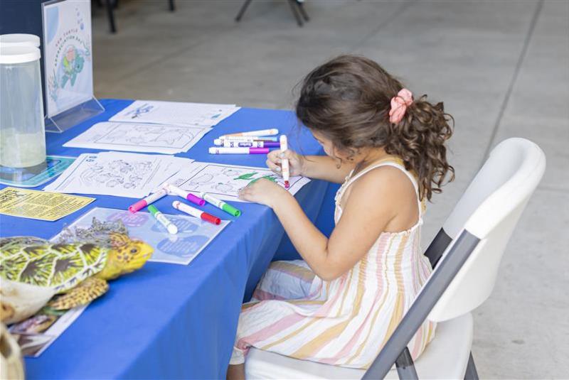 Clearwater Marine Aquarium’s Back-to-School Weekend