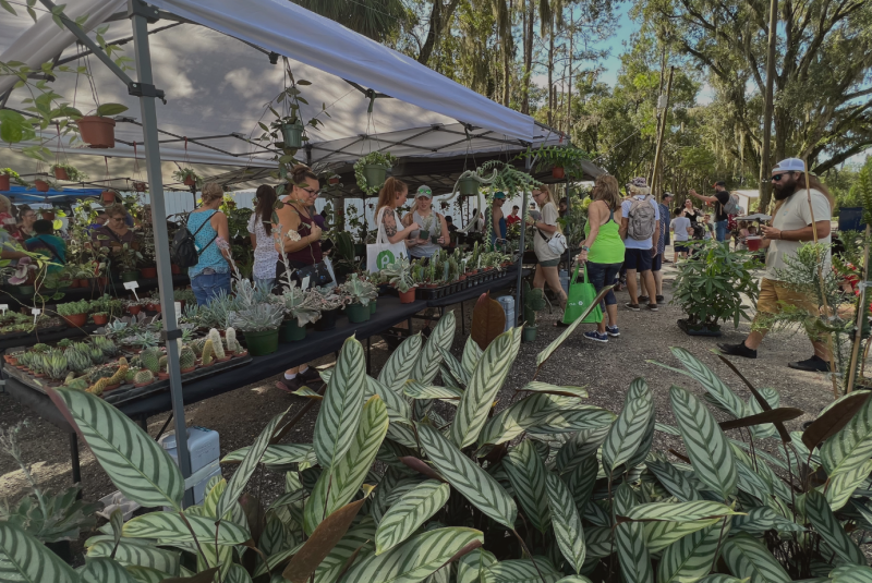 Plantae Palooza