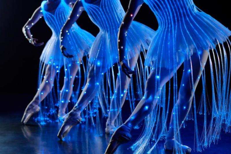 Ballet of Lights: Sleeping Beauty in a Sparkling Show - Tampa