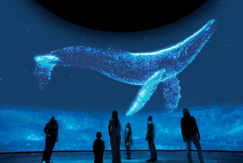 Dome After Dark: Surreal Nature