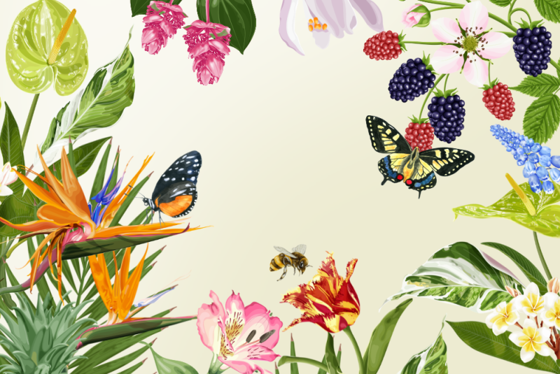 USF Botanical Gardens SPRING Plant Festival