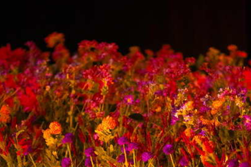 Candlelight: Best of Bridgerton on Strings