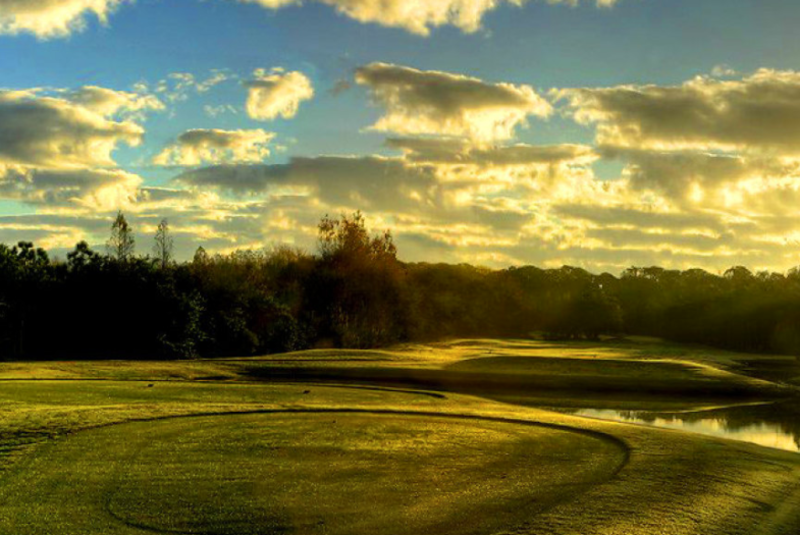 The Rox Invitational
