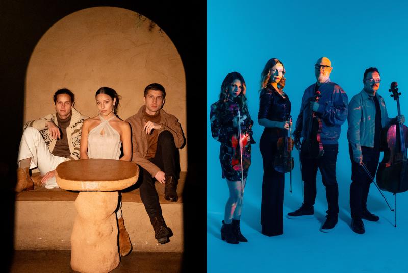 Vitamin String Quartet & Girl Named Tom