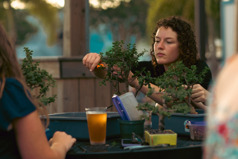 Bonsai & Brews at Keel Farms | Plant City