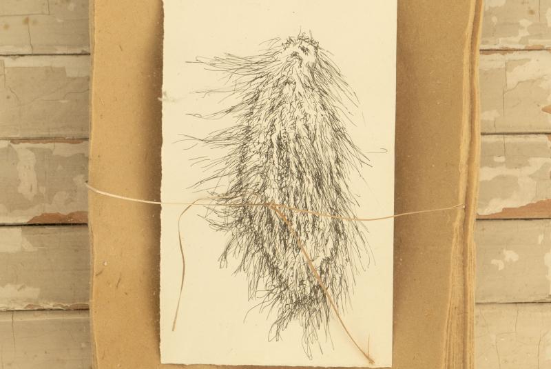 Artist Talk and Opening Reception for "Kendra Frorup: Healing Properties"