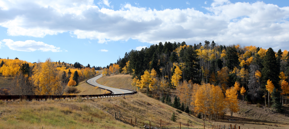 Leaves changing color along the High Road to Taos Scenic Byway in New Mexico