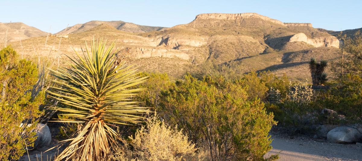 Alamogordo Trails