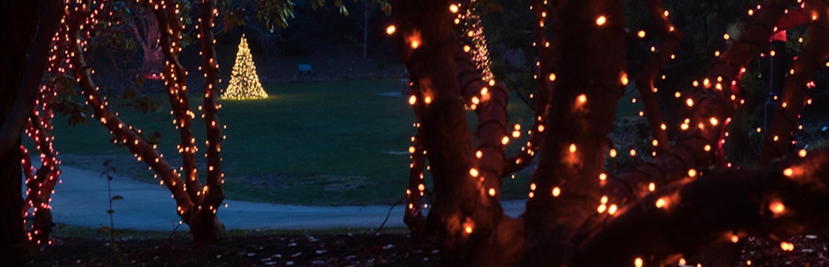 Miniature Christmas Village  A Plymouth Township couple has