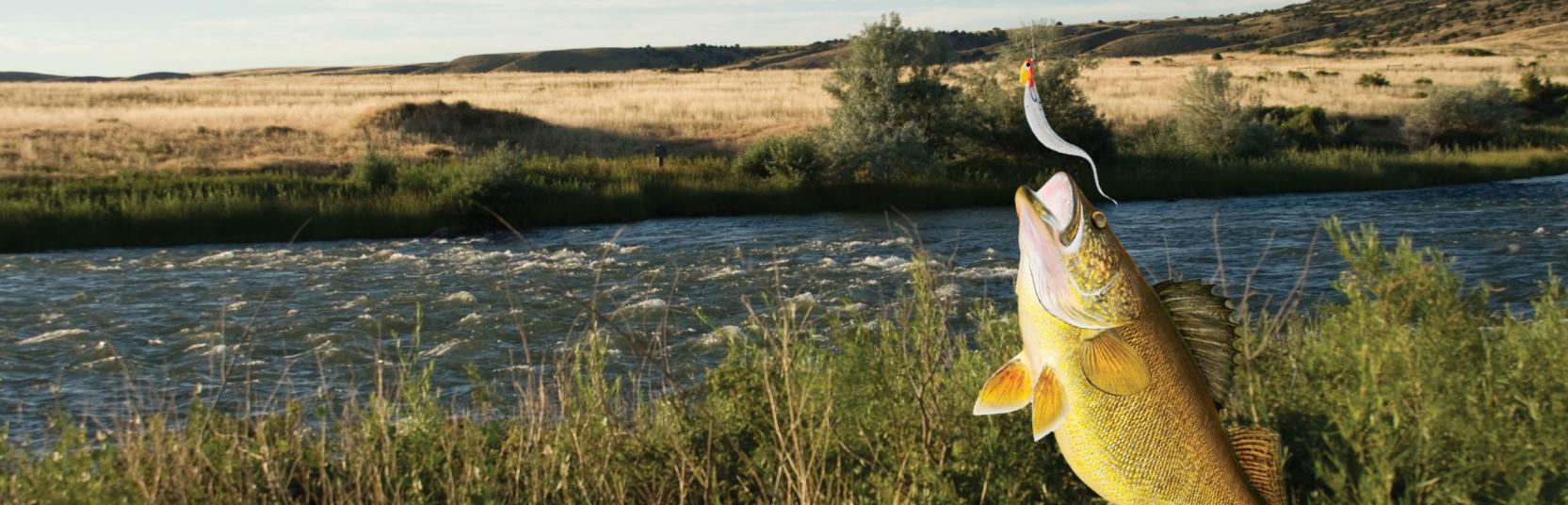 Top 5 Fishing Secrets Only The Locals Know