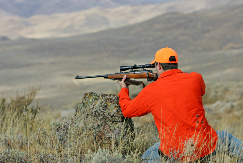 hunting