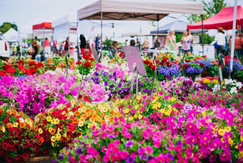 farmers_market