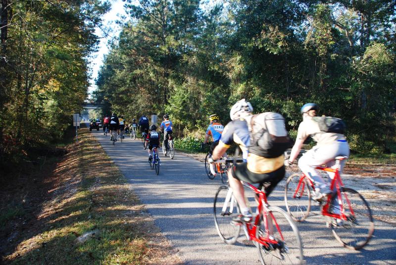 Cycling the Tammany Trace