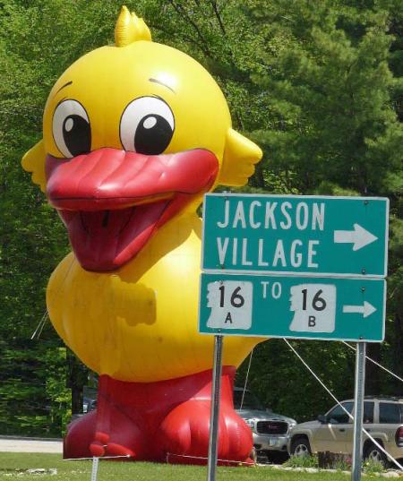 Jackson Chamber of Commerce Rubber Duck (large inflatable next to Jackson Village sign)