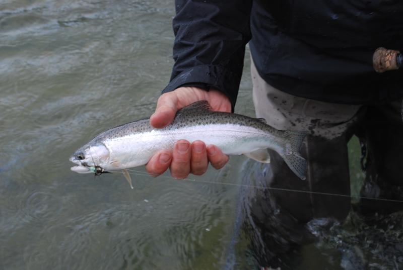 Fishing Together - 2