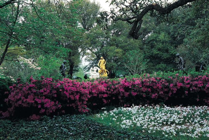 Spring flowers at Brookgreen Gardens, Murrells Inlet, SC