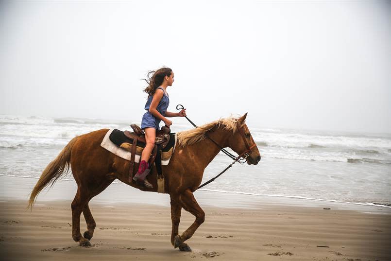 Horses on the Beach