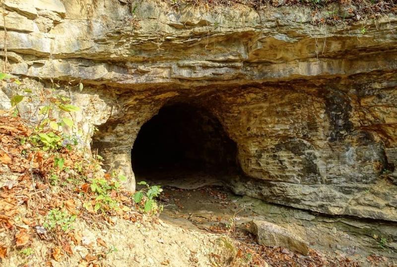 A cave in the Hoosier National Forest