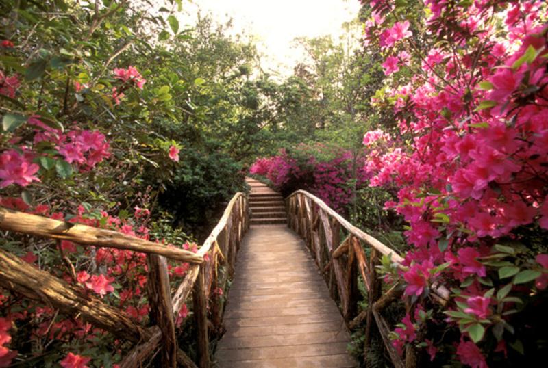 Bridge at Bayou Bend