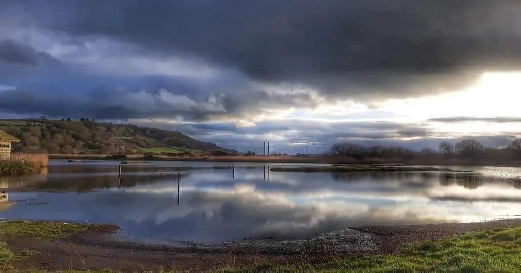 Seaton Wetlands