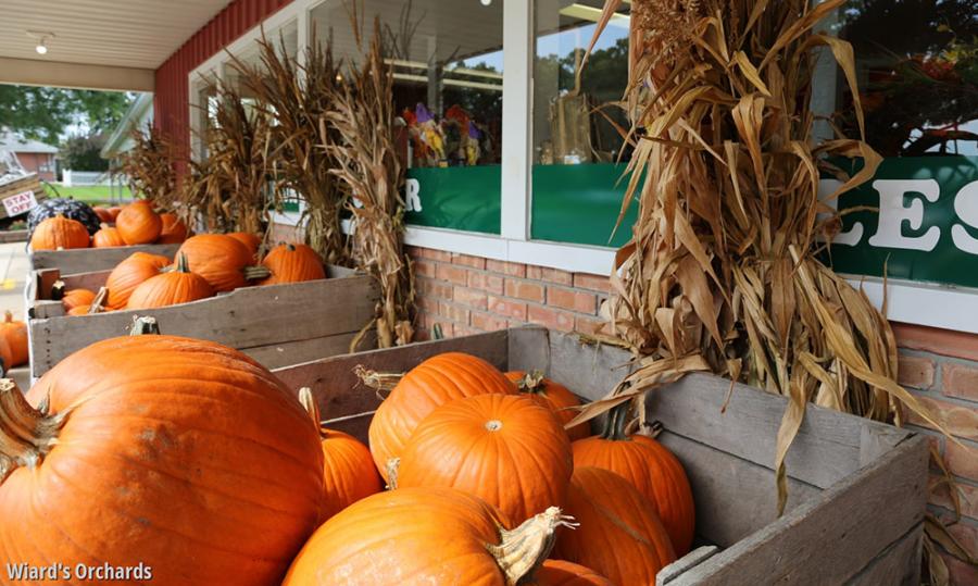 Wiard's Orchards