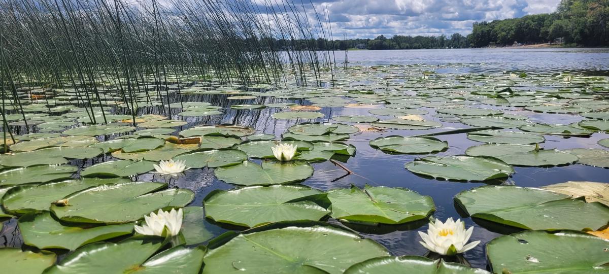 long lake