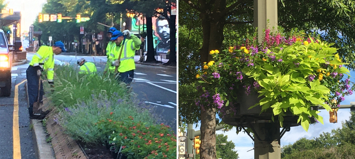 How Venture Richmond Keeps Growing Downtown's Beautification Efforts