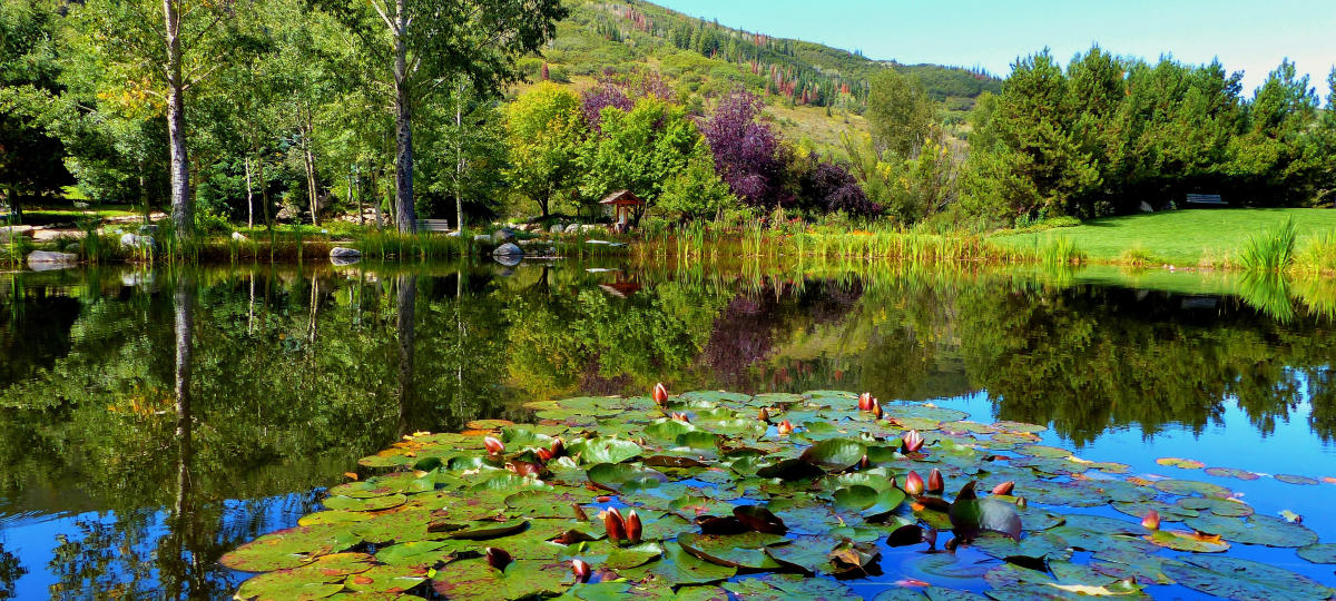Top Ten Summer Activities in Steamboat Springs: Yampa River Botanic Park