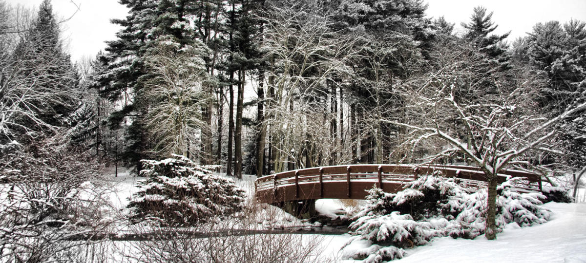 Winter Bridge