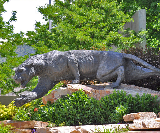 BYU Cougar Statue