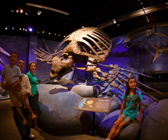 Museum of Ancient Life
