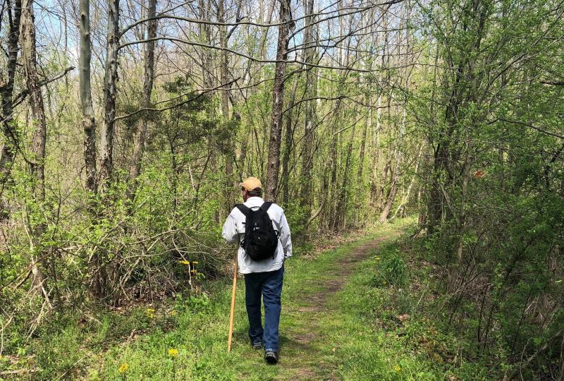 Man walking with a hiking stick on a trail at Porter West Preserve