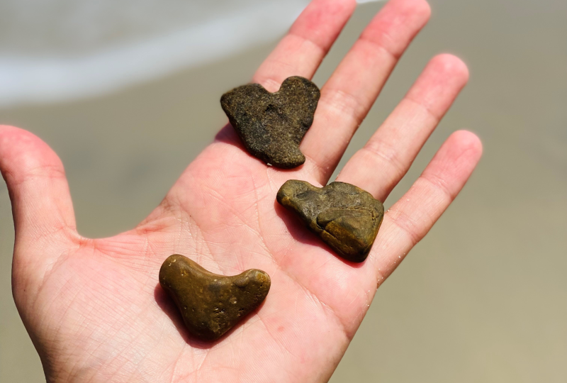 Heart shaped rocks along the beach