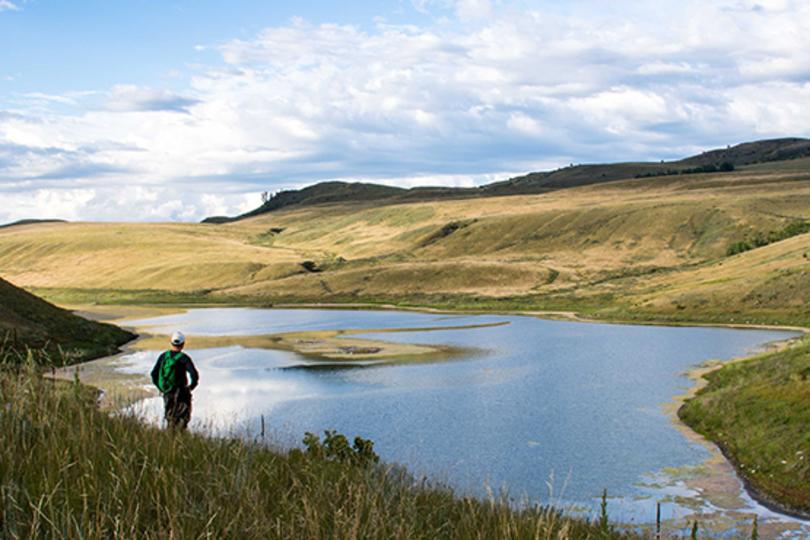 12 Of The Most Photogenic And Incredible Hikes In The South