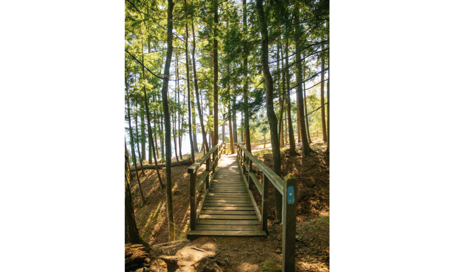 Blue trail marker on NCT footbridge