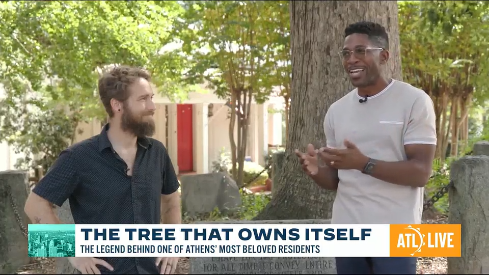 Tree that owns itself video frame shot