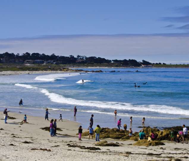 5 Reasons To Visit Monterey This Winter