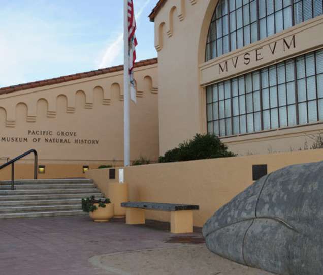 Pacific Grove Natural History Museum Turns 135