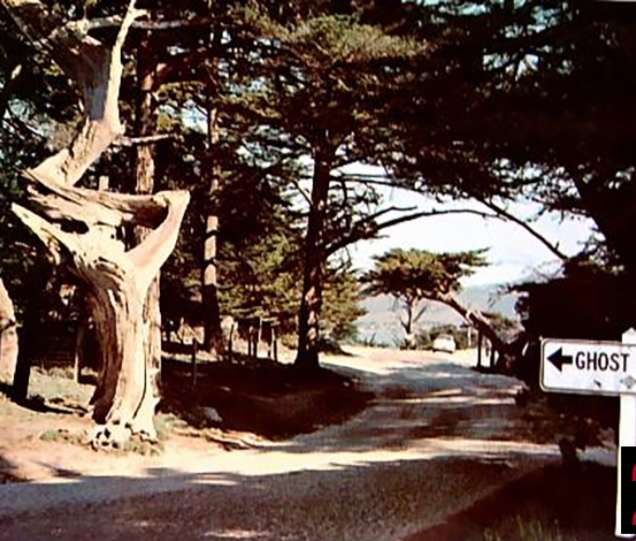 Hauntings Ghost Stories Of Monterey 1 The Lady In Lace This hotel in romania has become the subject of interest for many locals after a picture of a ghost was published by both newspapers and television. hauntings ghost stories of monterey