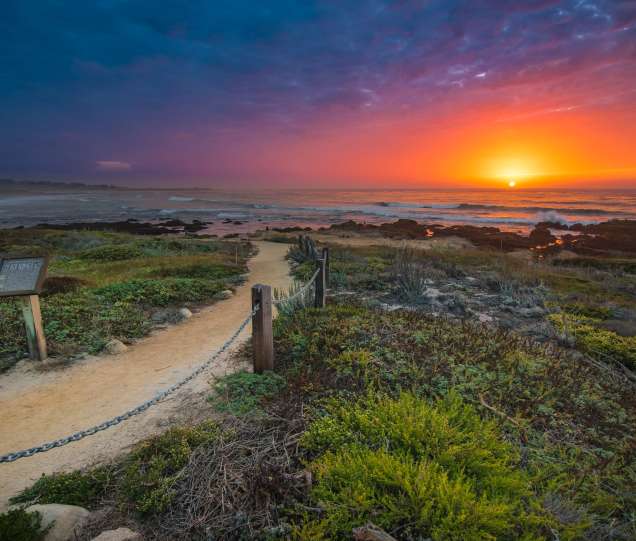 Explore Pacific Grove Beaches Find over 100+ of the best free pacific grove images. explore pacific grove beaches