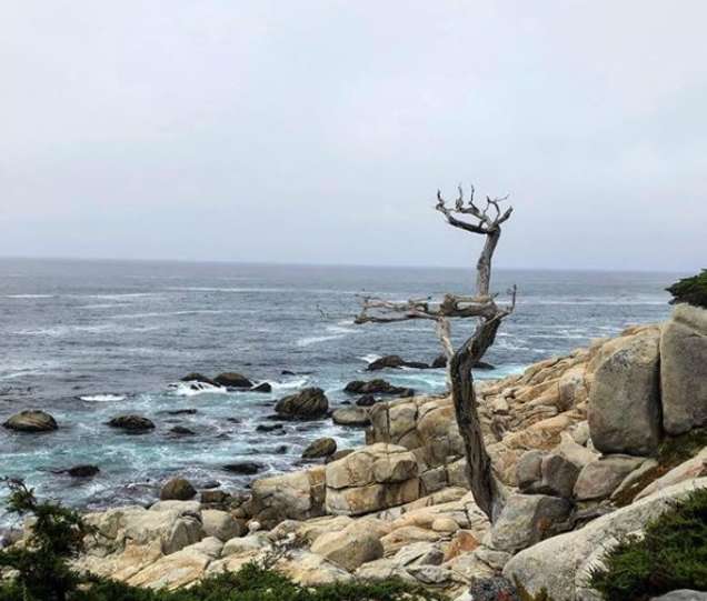 Must See Haunts In Monterey County Ca This Halloween