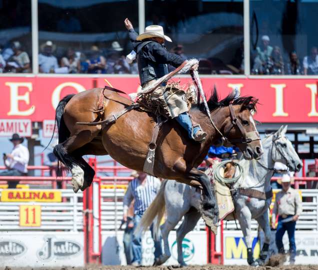 Saddle Up for the California Rodeo July 2023, 2017